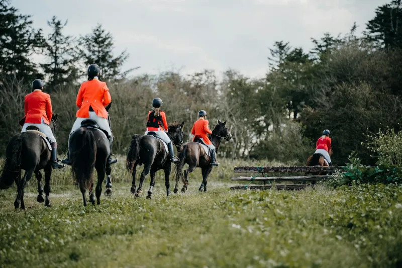Hoofbeats to Heartbreak: The £20,000 Vet Bills Destroying Britain's Weekend Equestrians